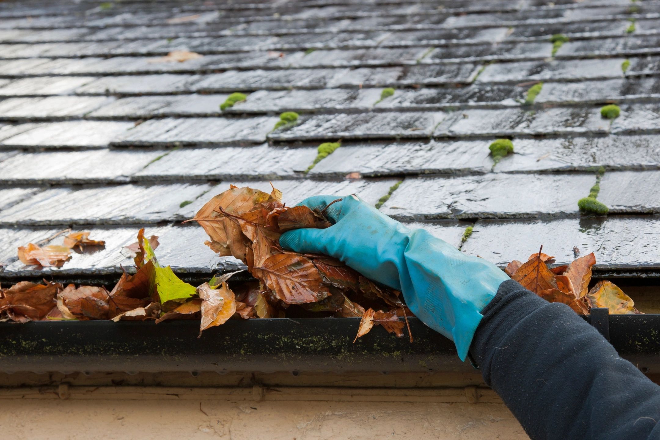 Essential Spring Home Maintenance for Clark County Homeowners